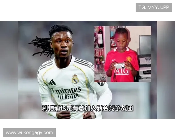 卡马文加与皇马体系的战术适配性分析