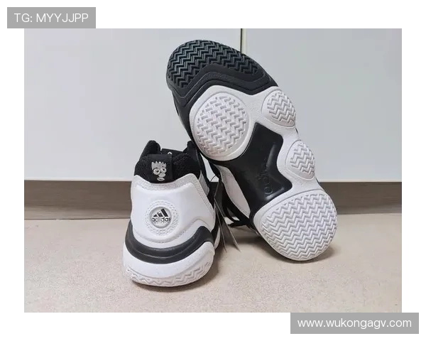 托尼娅·哈丁当年那双冰鞋，现在够买套房了