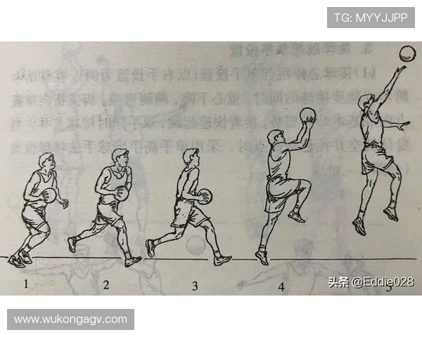 篮球新规解析:三步上篮和投篮动作判定标准有何调整?