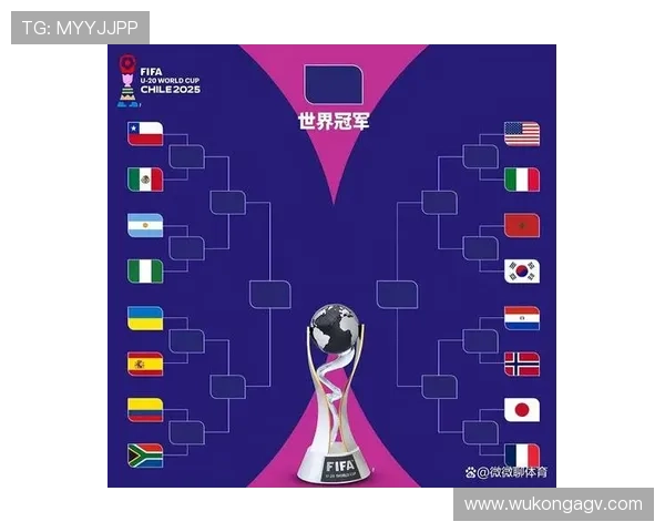 奥地利冲击2026世界杯:小组赛对手形势与出线前景分析 奥地利冲击2026世界杯:小组赛对手形势与出线前景分析
